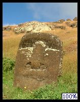 Moaï enterré à Ranoraraku