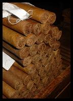 Cigares avant pose de la bague...