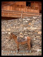 Mule batée